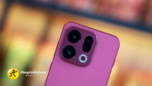 Oxgn9639051236620799785