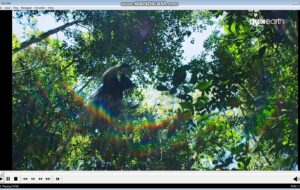 Thuyết Minh Bbc Earth Oo0Dt1E0H63Tdxyzx