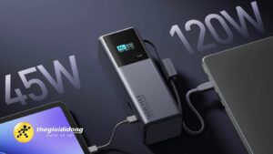 Sdp12638975208423265245