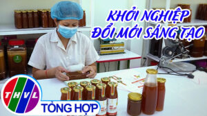 Khởi Nghiệp Xanh: Khởi Nghiệp Đổi Mới Sáng Tạo Sml4 1Eau8Cdynyzs