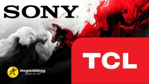 Syc1639045826959703411