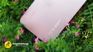 X7Ai1638972601076908304