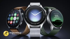 Xcme639020968055586908