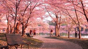 A1B794A462Adc2D03Ae04160E69B9088 Mua Xuan Nuoc My2 16 58 54 088