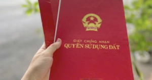 anh man hinh 2026 02 23 luc 22 32 20 17718607493371473881751 141 0 849 1132 crop 1771860754422204214