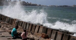 anh minh hoa 1772761458481413193305 147 0 775 1200 crop 17727614819441204683546