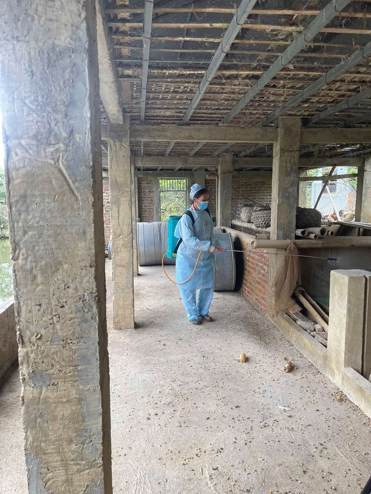 anh viber 2026 04 22 09 45 35 686