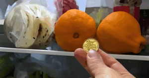 Avatar1761474461892 1761474462204343746447