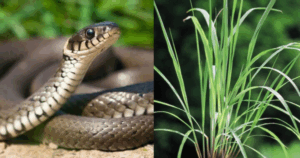 Avatar1761538886960 17615388873981372253433