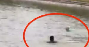 Avatar1761561849411 1761561850060498477932 0 118 274 557 Crop 17615618699711271832027