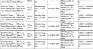 Avatar1761573260462 1761573260845632529135