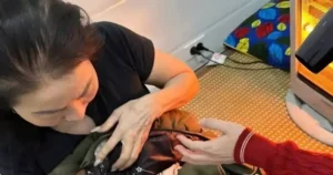 Avatar1761646030444 1761646030714596723362.Webp