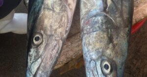 Avatar1761695599224 17616955996081640500839