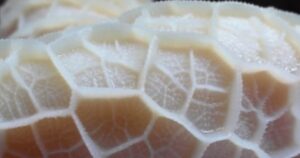 Avatar1761704034701 17617040396551918704292 0 72 269 503 Crop 1761704061154901978501