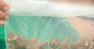 Avatar1761728648611 1761728649046568787477 0 68 267 495 Crop 17617286637051538864017