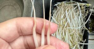 Avatar1761835858502 1761835859324402221966