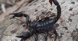 Avatar1762060357088 17620603577961940945956