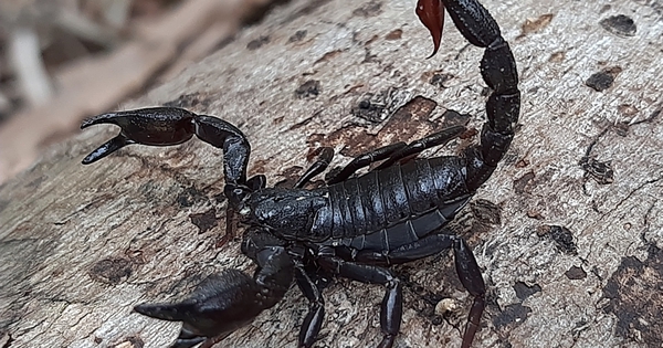 Avatar1762060357088 17620603577961940945956