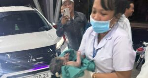 Avatar1762074405834 1762074407971100847805