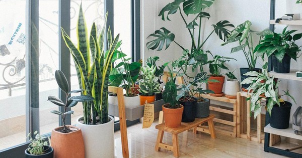 Avatar1762089822646 17620898229911741840012