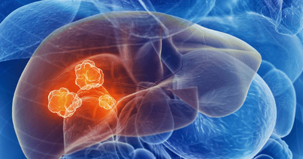 Avatar1762154863946 17621548643711724354082 32 0 294 500 Crop 17621549369561234479464