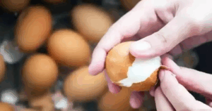 Avatar1762155888060 17621558884301394442721