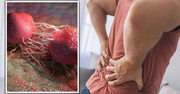 Avatar1762158950143 17621589510171753697324