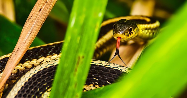 Avatar1762244269086 17622442694761644996981