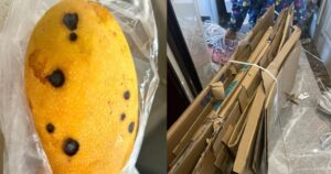 Avatar1762248433058 1762248433599847919521