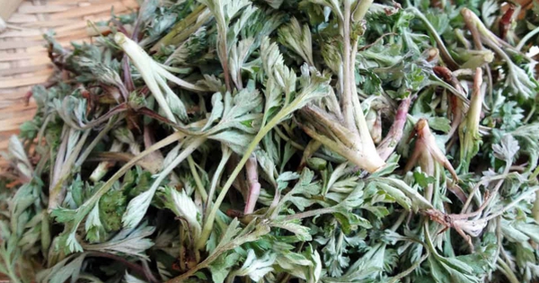 Avatar1762254978826 17622549794381765383952 0 0 314 600 Crop 17622682105641148079201