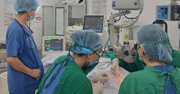 Avatar1762256538164 17622565385091337000740