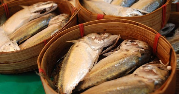 Avatar1762346555924 1762346556271371875981