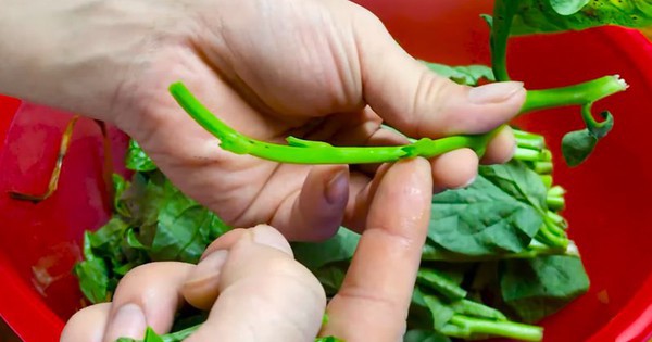 Avatar1762413916476 17624139172121523625033