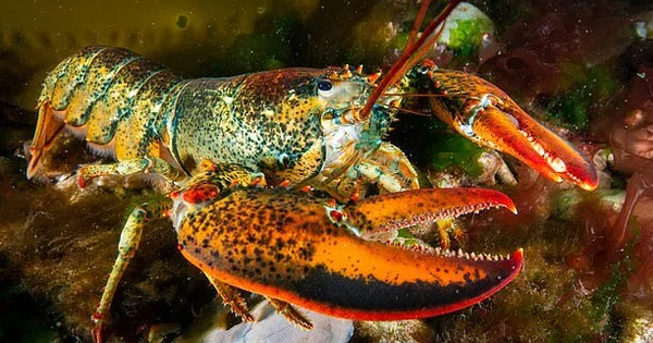 Avatar1762488789597 1762488790013160456469