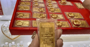 avatar1762568011990 17625680133331283421984