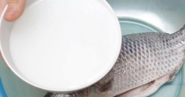 Avatar1762611296808 17626112971111277996665