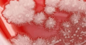 avatar1762752899833 1762752900272459273388