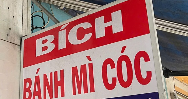 Avatar1762781328364 17627813289201808135811