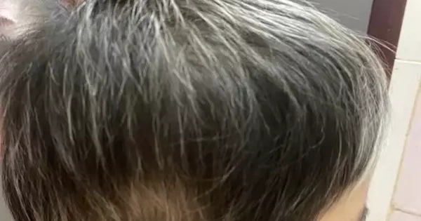 Avatar1762781411282 1762781411521833150108.Webp