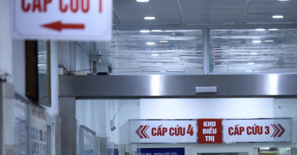 avatar1762818111663 17628181121391112443626 0 39 271 473 crop 17628181391231271969161