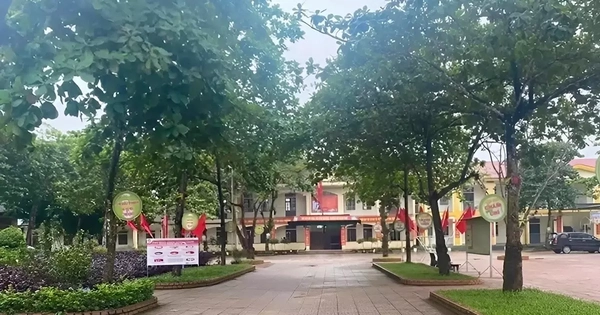 Avatar1762835509051 1762835509255187211362.Webp