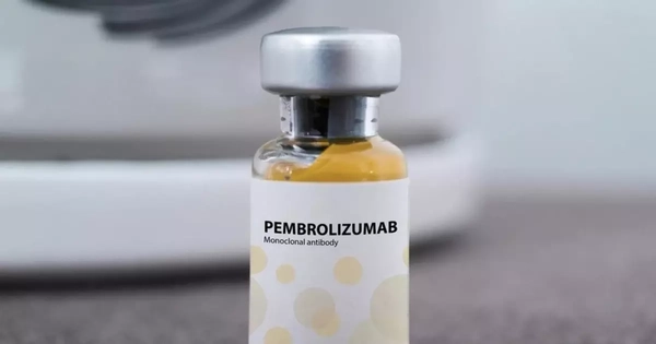 Avatar1762860334229 1762860334555581174393.Webp