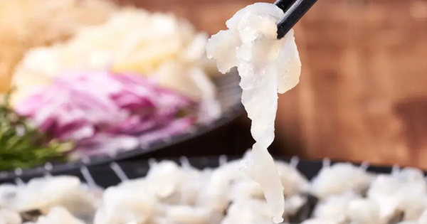 Avatar1762951598300 17629515987631872533343