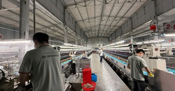 avatar1762992822408 17629928228291444341790