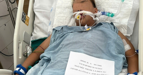 Avatar1763012613875 1763012614914535794755