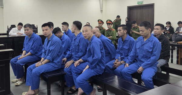 Avatar1763123059832 1763123060535823274543