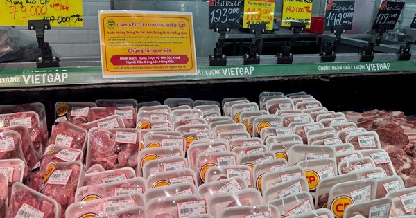 Avatar1763253944466 17632539451561943076729