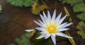 Avatar1766370129489 176637013112980453119