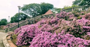 Avatar1766396488863 17663964895732047621133