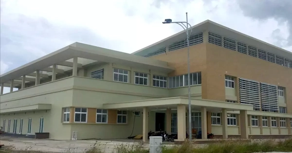 Avatar1766396807614 17663968083142005917520.Webp